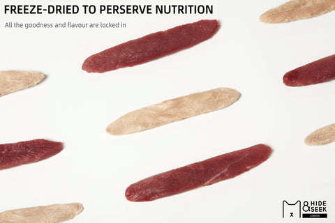Freeze Dried Duck Mini Fillets