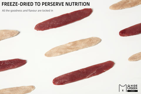 Freeze Dried Duck Mini Fillets