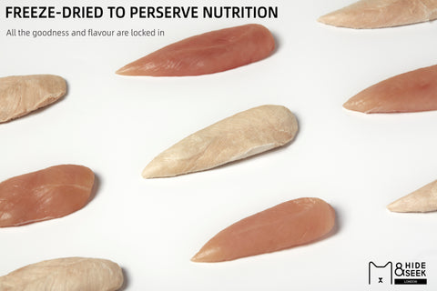 Freeze Dried Chicken Mini Fillets