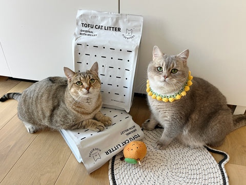 Tofu Cat Litter