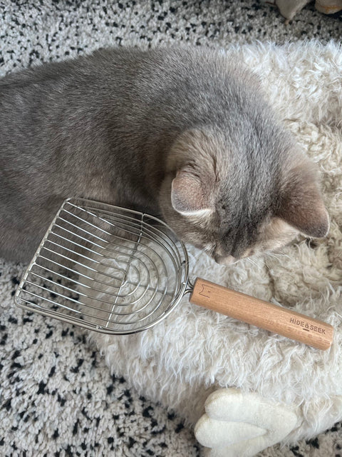 Cat Litter Scoop